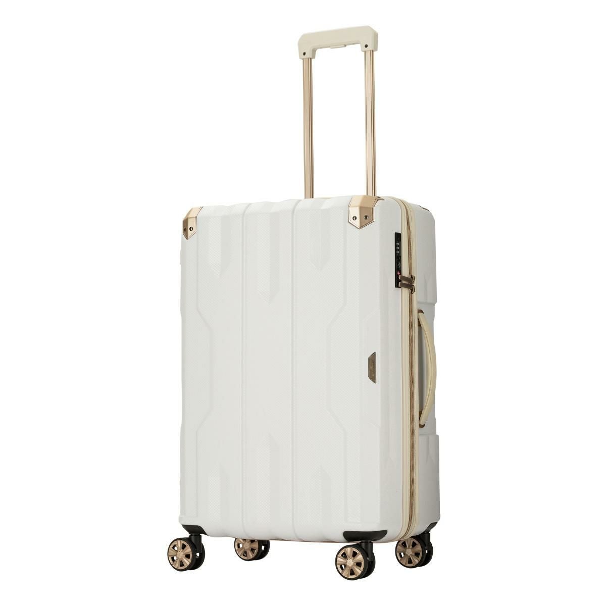 定価22万WALKCAR10kmモデル 公道OK 別売専用バッグ付 ウォーカー top2.JPG?fit=fill&q=80&w=1200&