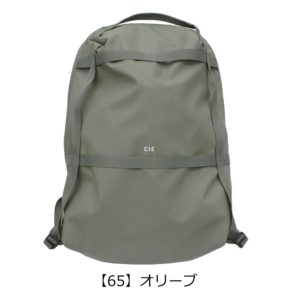 【65】オリーブ