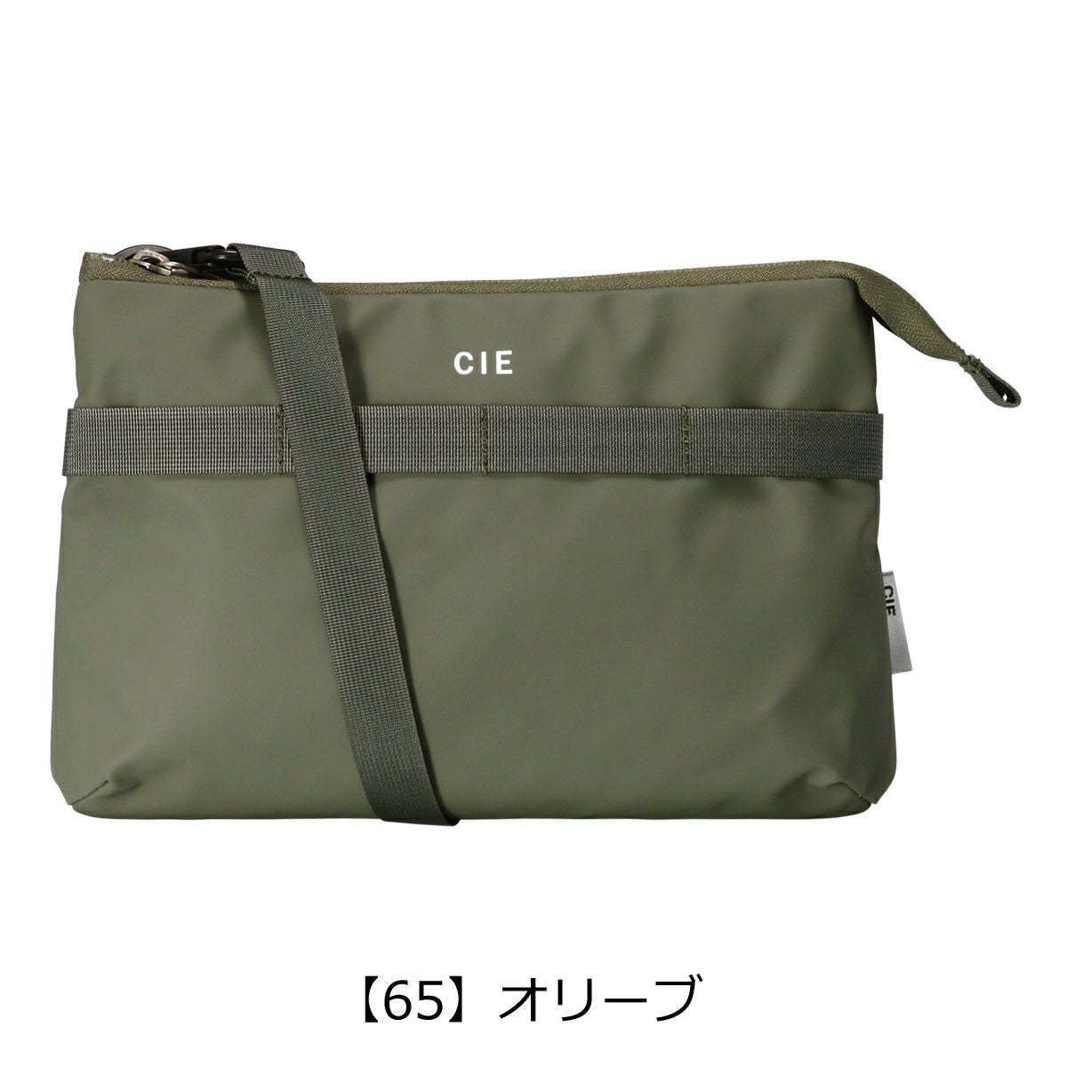 【65】オリーブ