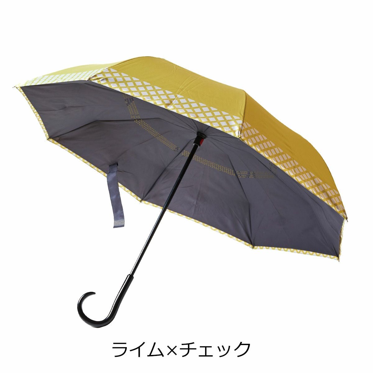 ライム×チェック