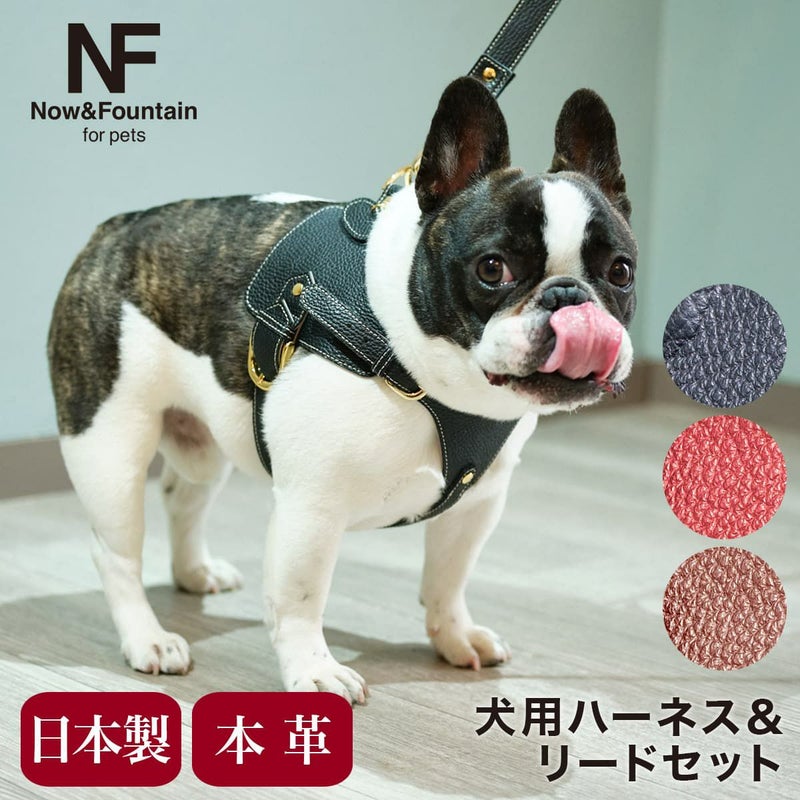 エヌアンドエフ ペット ハーネス＆リードセット 小型犬 ハーネス 