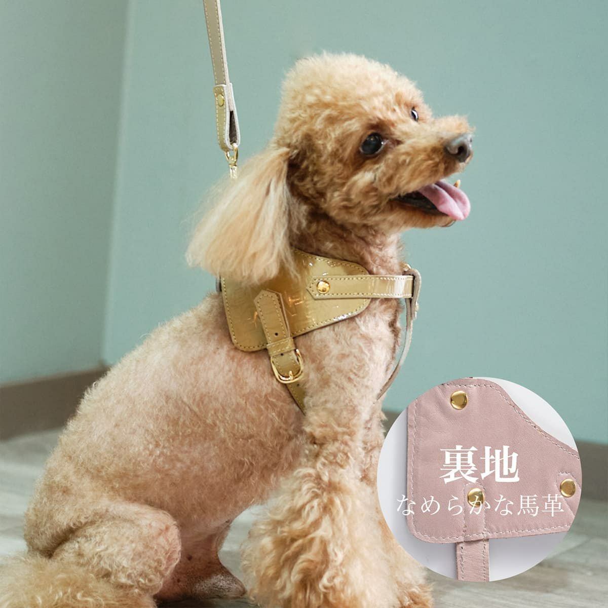 エヌアンドエフ ペット ハーネス＆リードセット 小型犬 ハーネス
