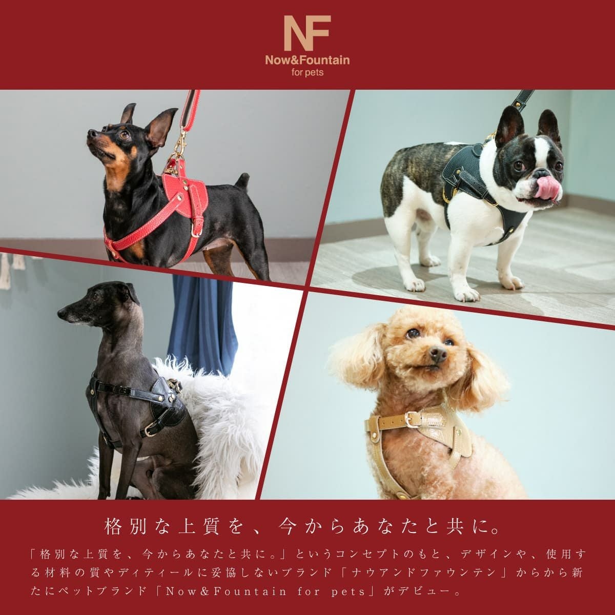 エヌアンドエフ ペット ハーネス＆リードセット 小型犬 ハーネス