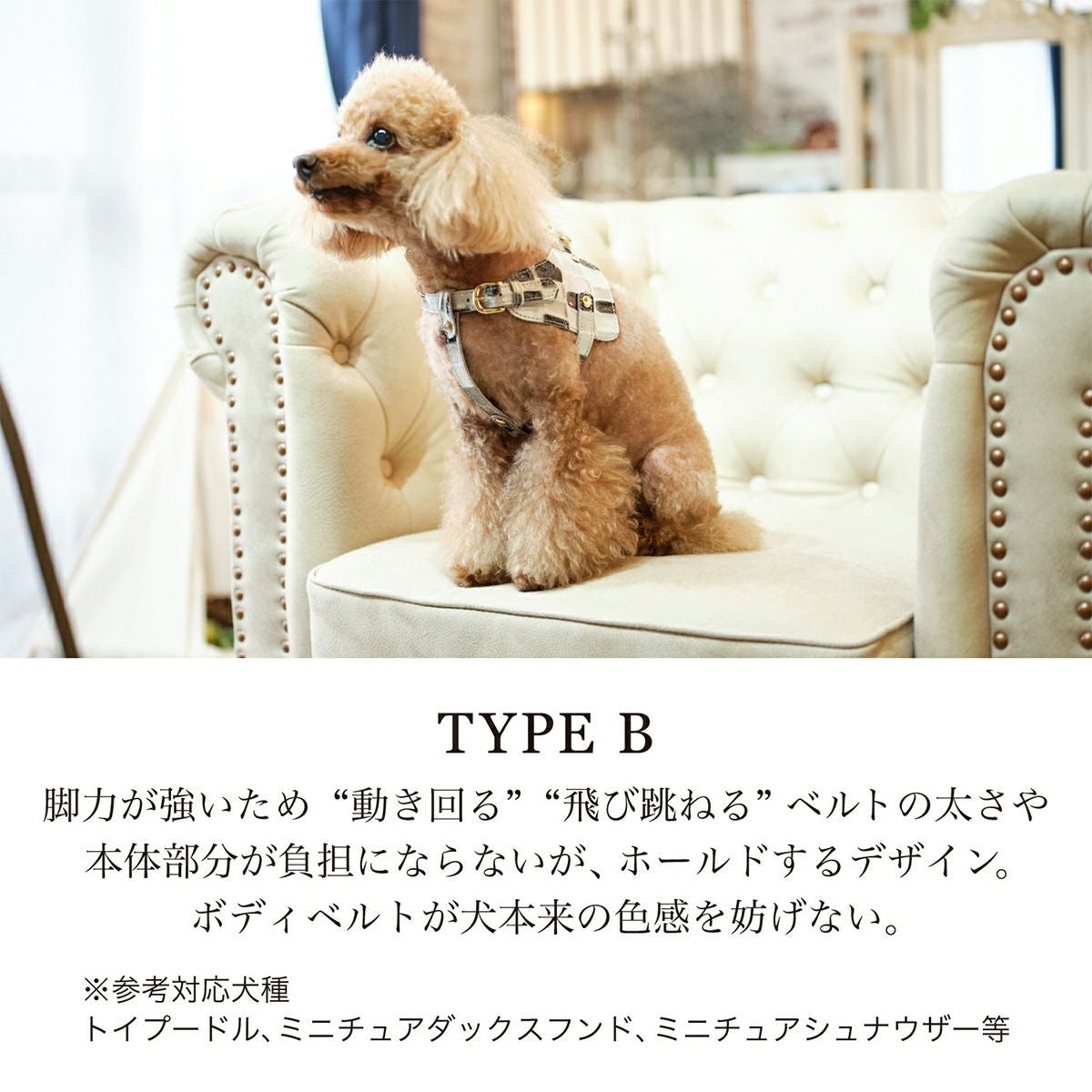 エヌアンドエフ ペット ハーネス＆リードセット 小型犬 ハーネス