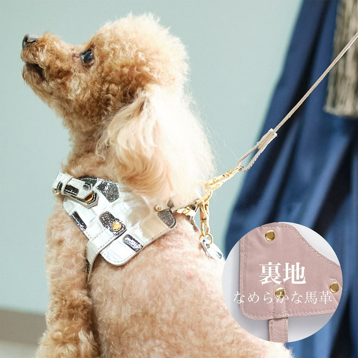 エヌアンドエフ ペット ハーネス＆リードセット 小型犬 ハーネス