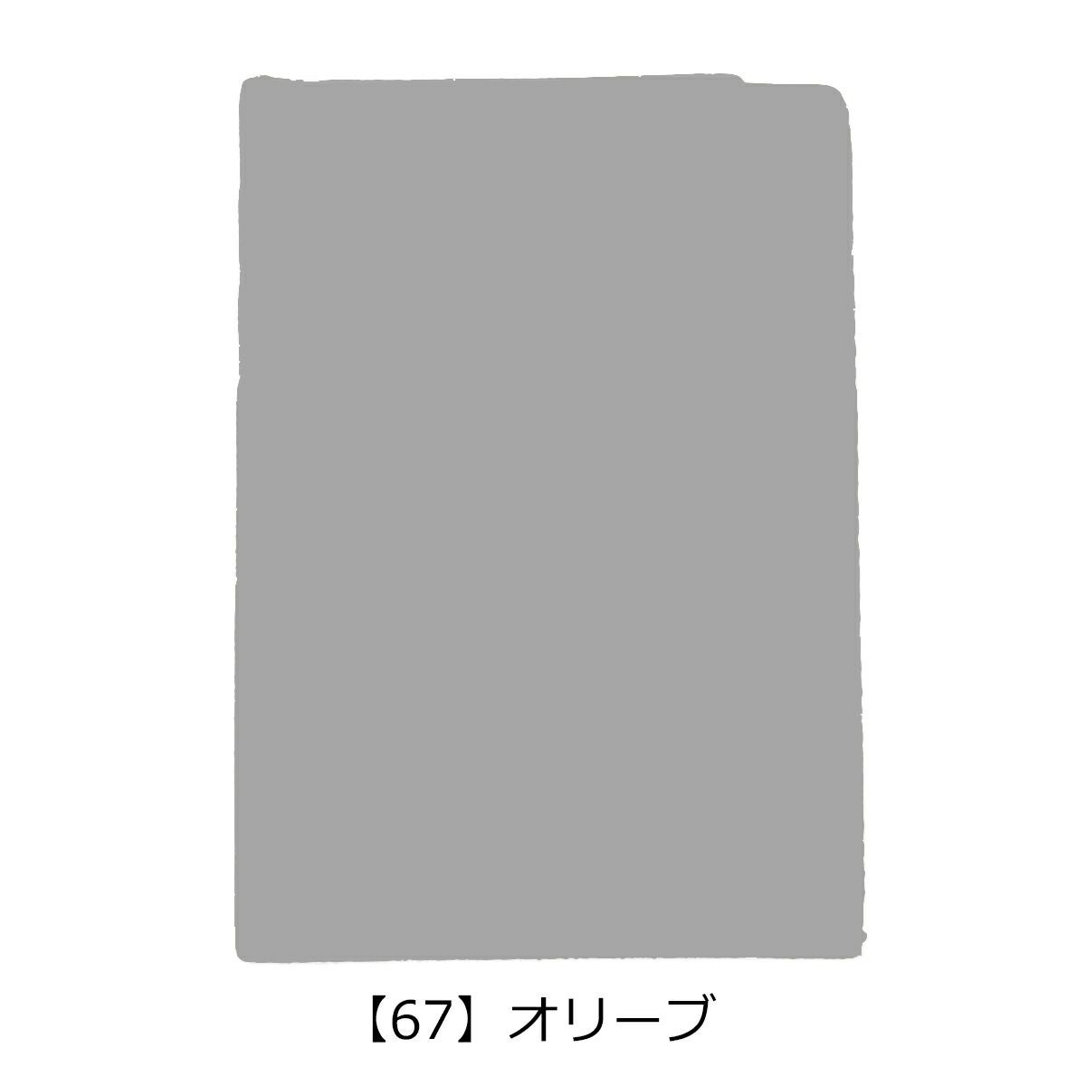 【67】オリーブ