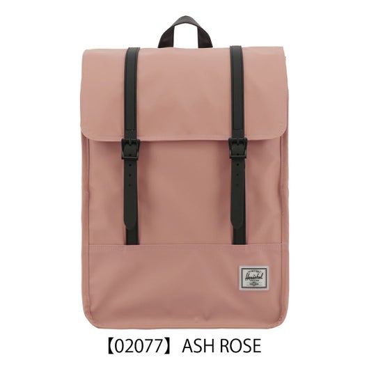 【02077】ASH ROSE