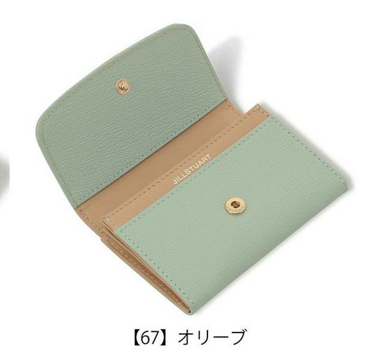 【67】オリーブ