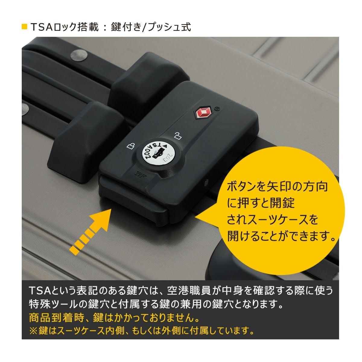 プラグ HIGI(ヒギ) スーツケース 33L 47cm 3.7kg PLGT-101 PLUG