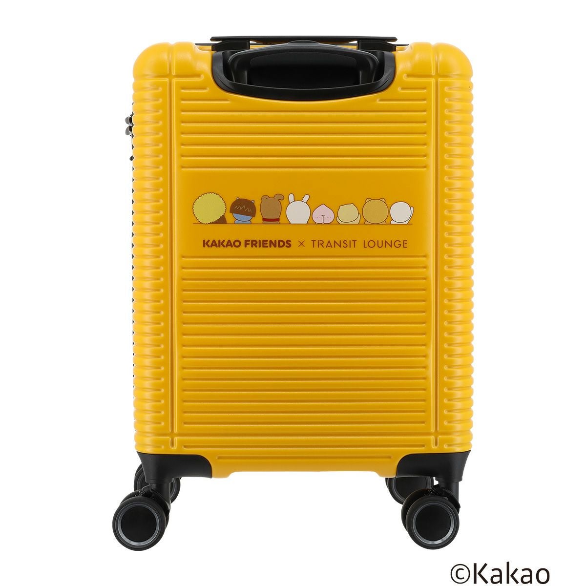 【TAMBURINS】BOTTARI&チェーンウェアケースたらこショップさん専用 ダーツケース TRiNiDAD CAPACITY HD PLAYER DESIGN トリニダード