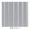 【22】シルバー
