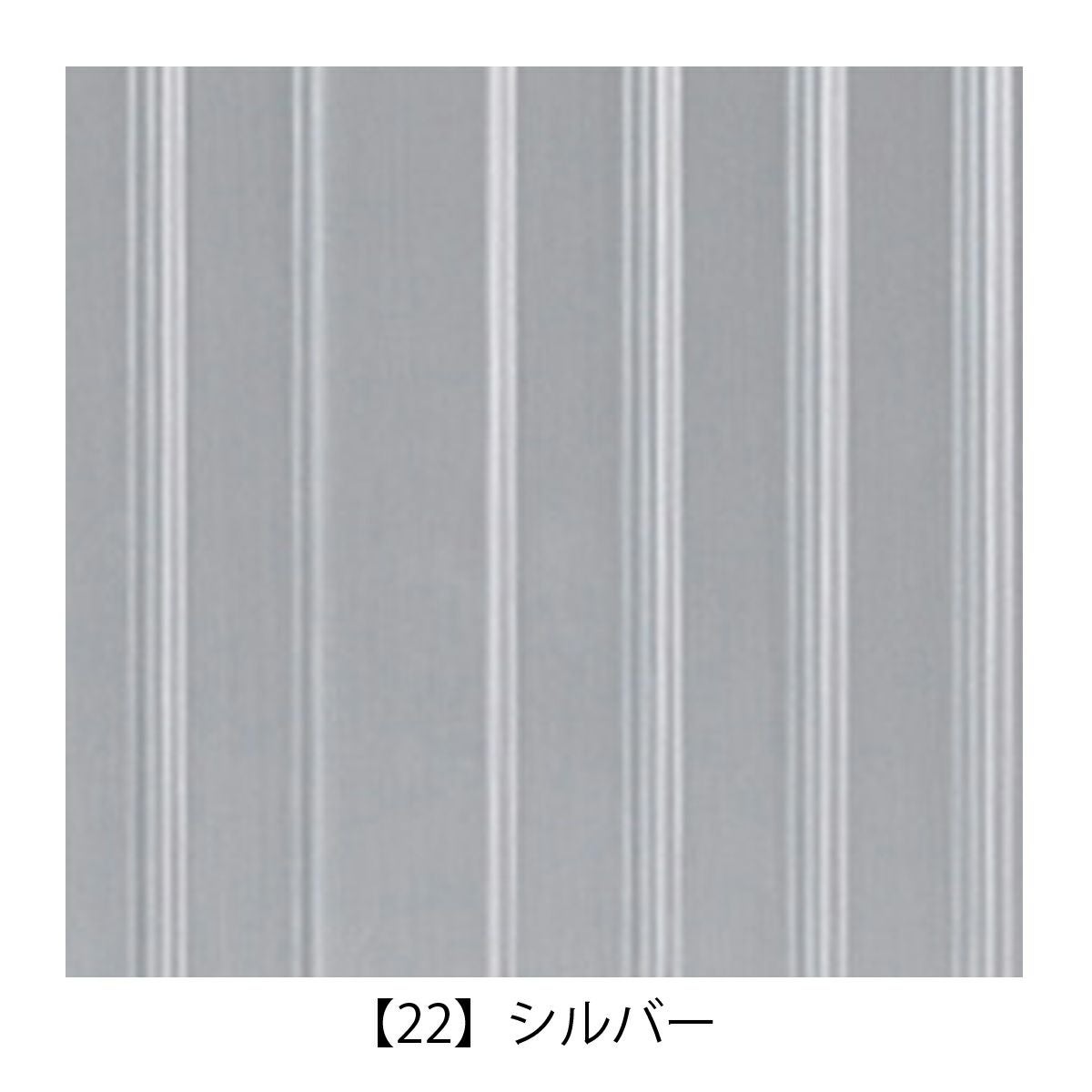 【22】シルバー