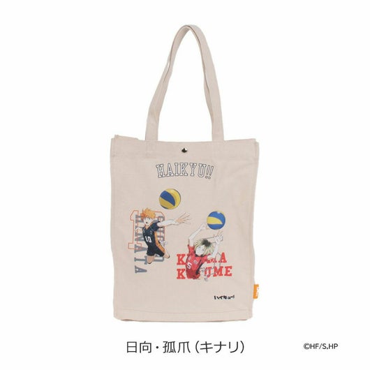 日向・孤爪(キナリ)