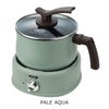 PALE-AQUA