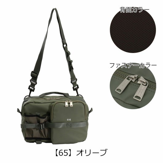 【65】オリーブ