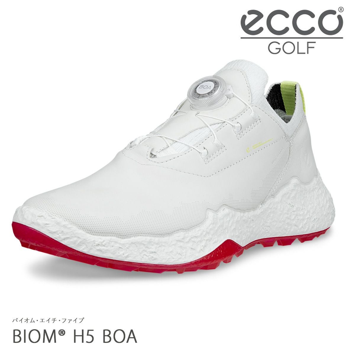 専用！ エコー】 ゴルフシューズ ゴルフコア W ディース【ecco】 ecco（エコー） ゴルフシューズ コア ボア CORE BOA EG100834 メンズ