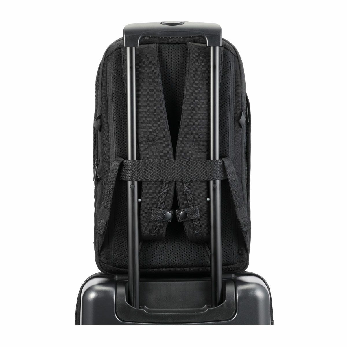同梱おまとめ ace GENE】 68592[品番：KINW0001712]｜Tasche Jack（タッシュジャック