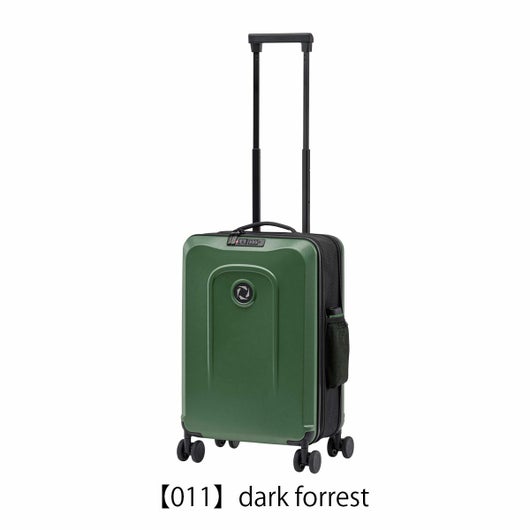 【011】dark forrest