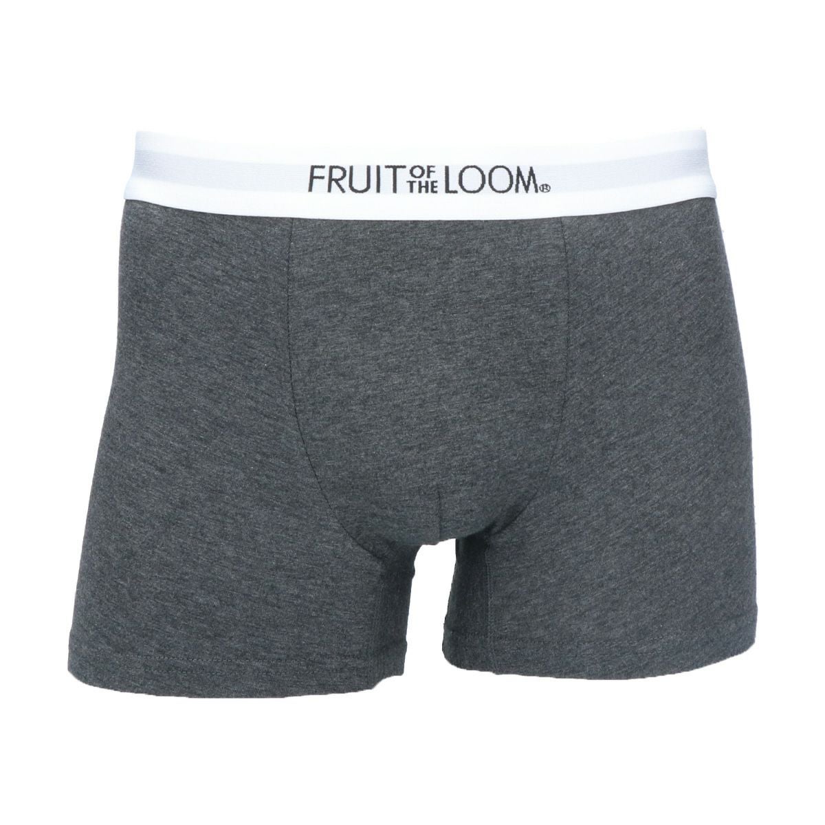 フルーツオブザルーム ボクサーパンツ メンズ 18624800 FRUIT OF THE