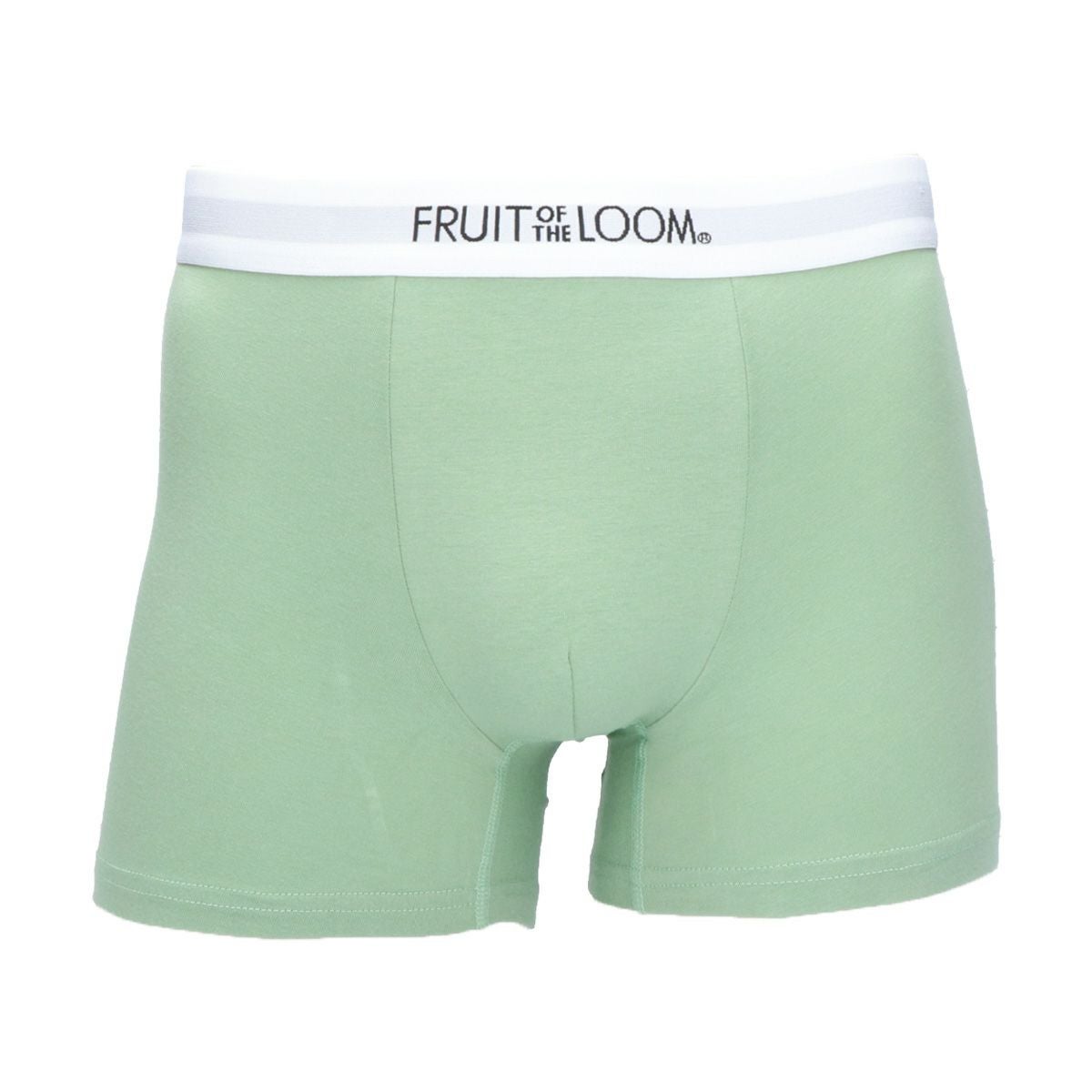 【17】オリーブ