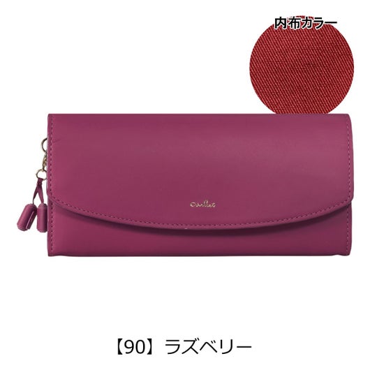 【90】ラズベリー