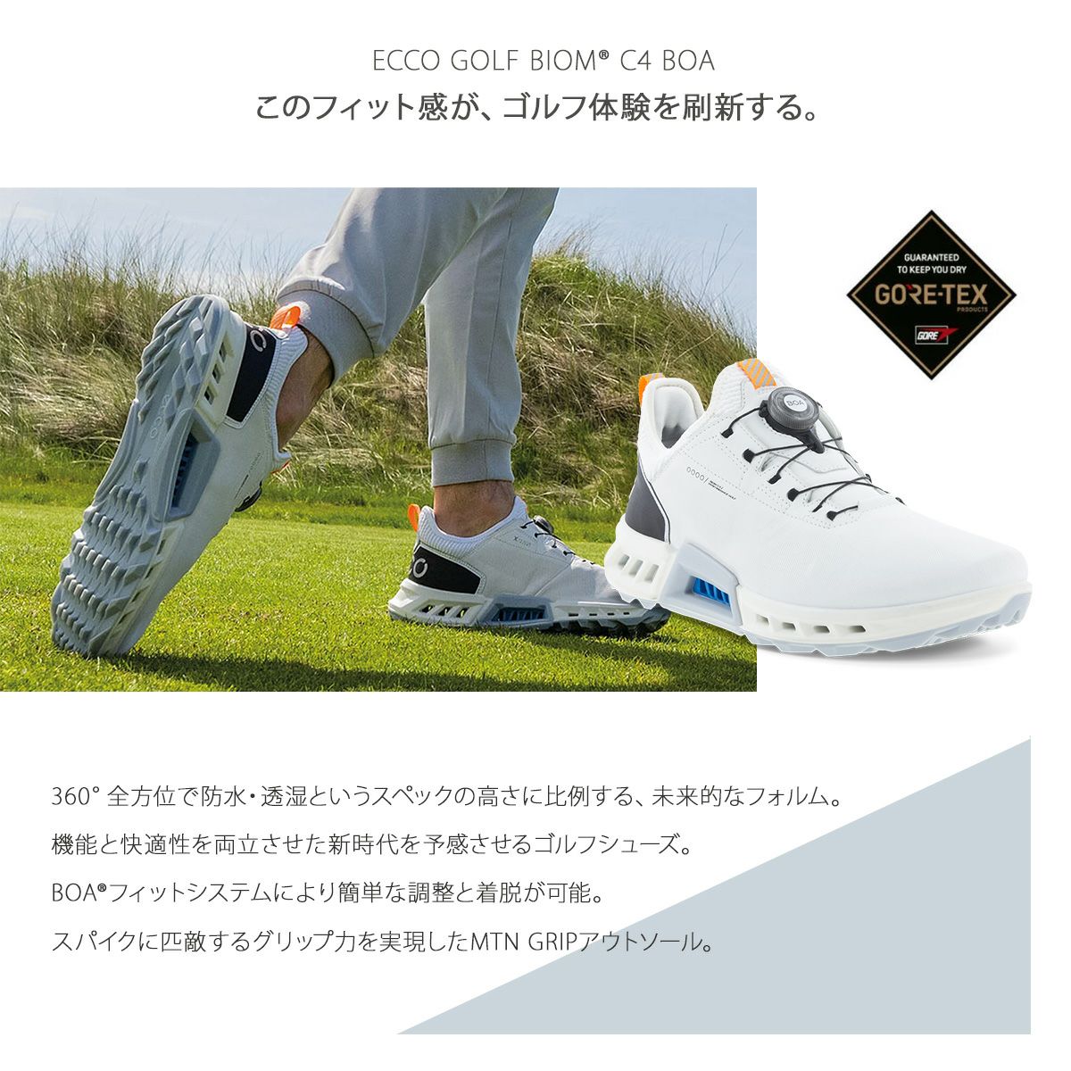 エコー ゴルフ シューズ バイオム シー フォー ボア スパイクレス