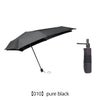 【010】pure black