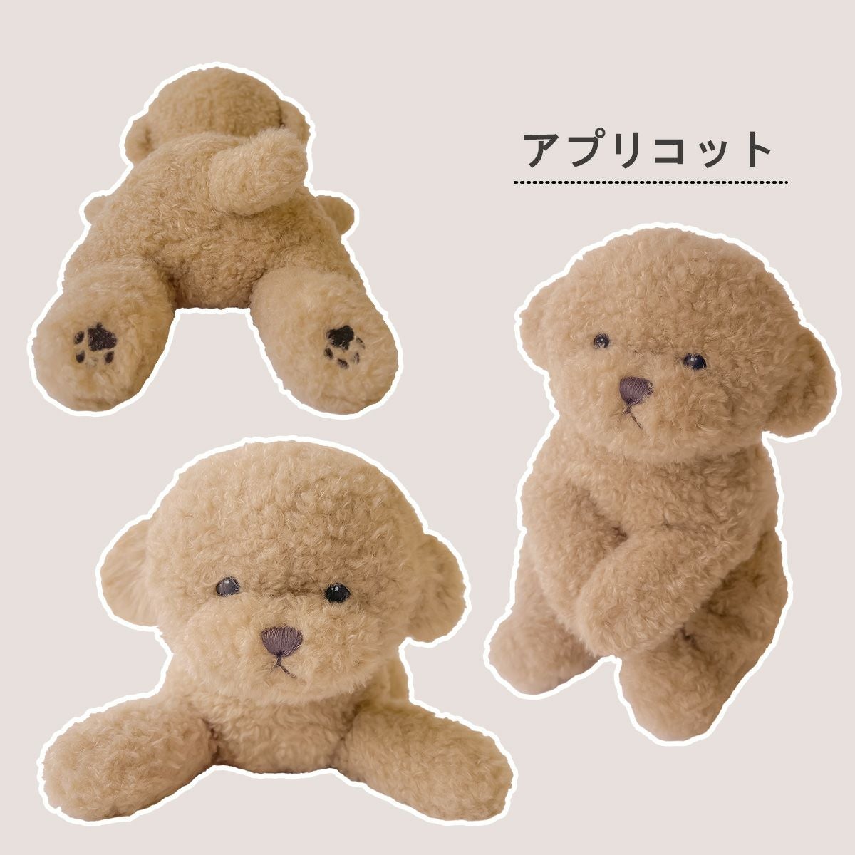 【272】アプリコット