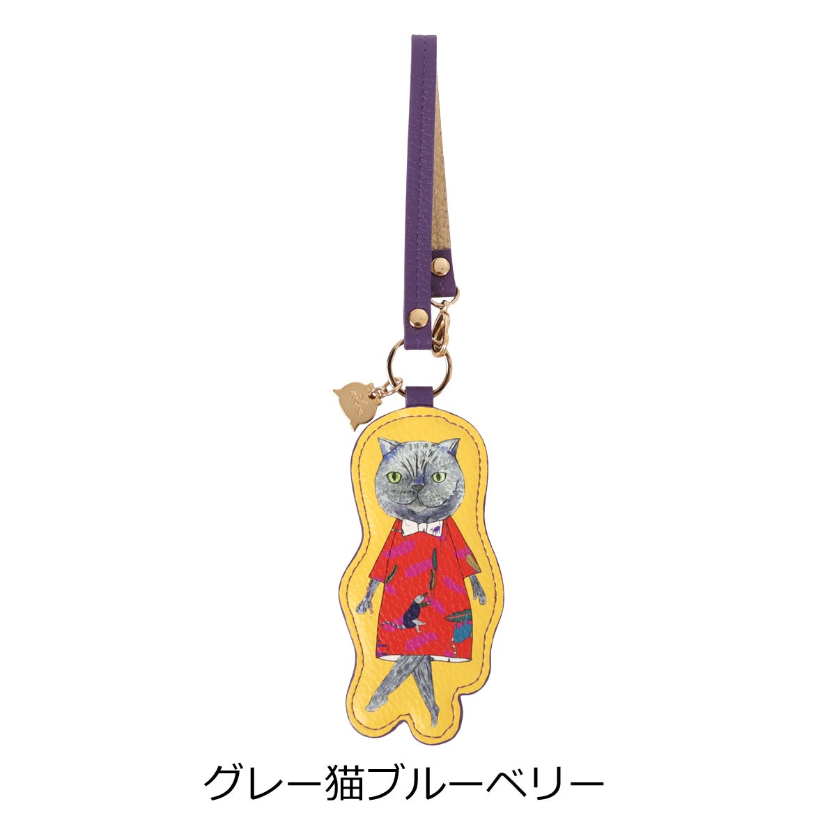 グレー猫ブルーベリー