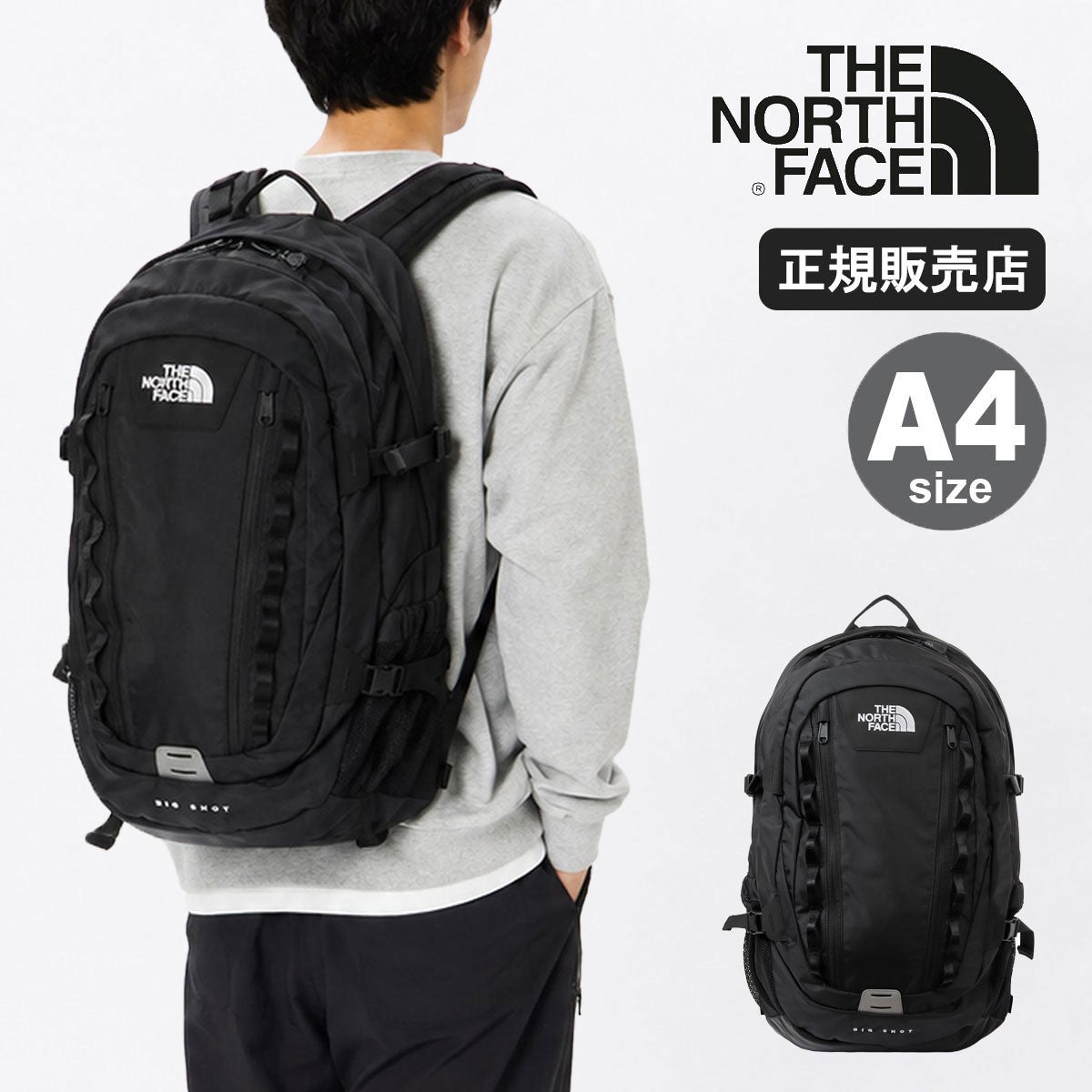 ノースフェイス リュック メンズ レディース デイパック 大きめ THE