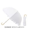 【229820】ホワイト×ホワイト