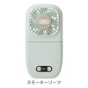 スモーキーリーフ