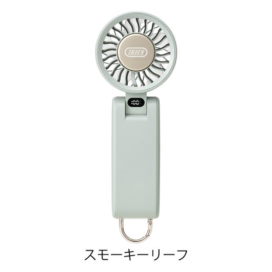 スモーキーリーフ
