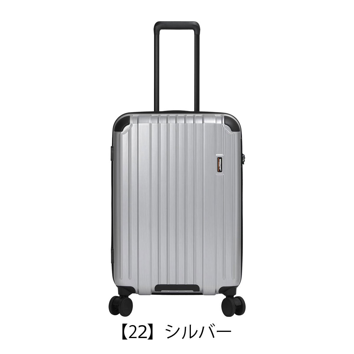 【22】シルバー