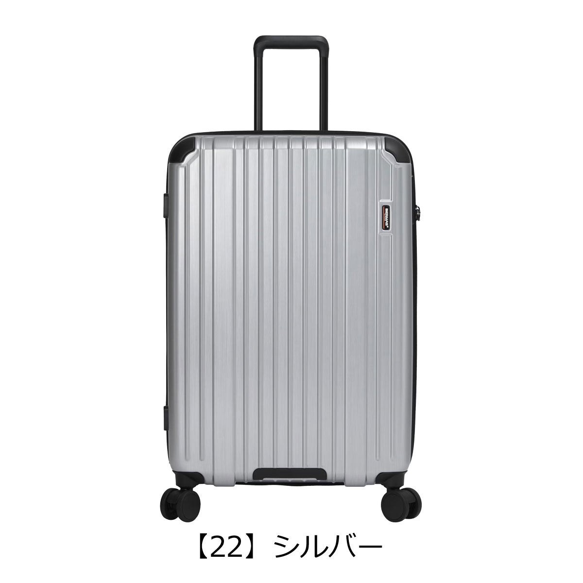 【22】シルバー