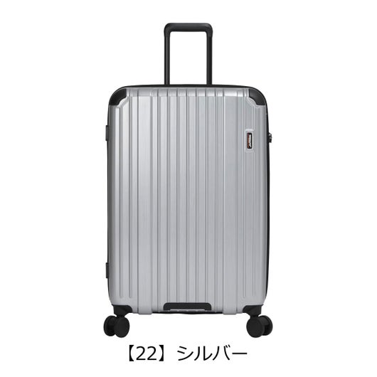 【22】シルバー