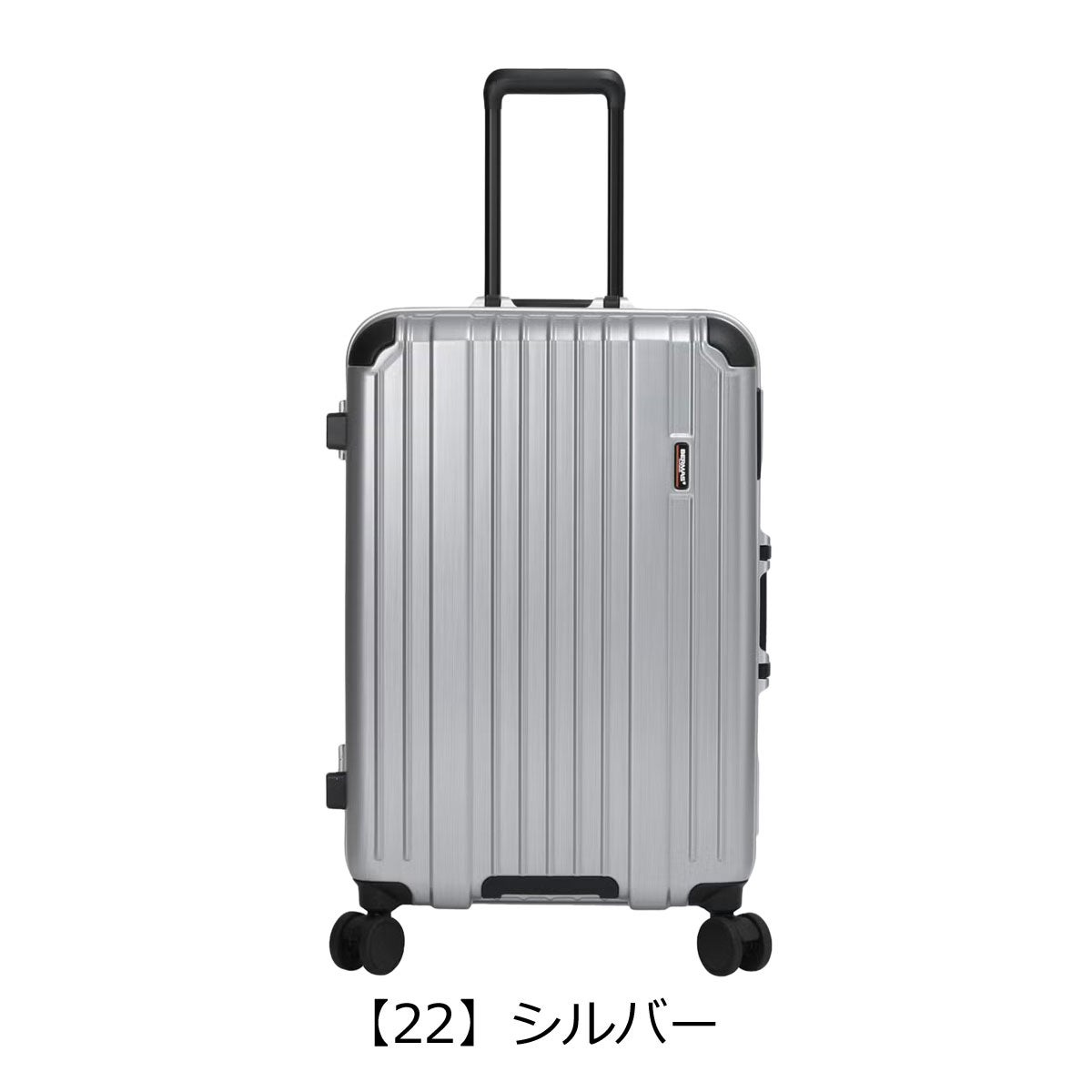 【22】シルバー