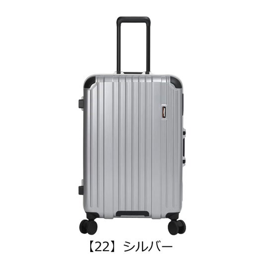 【22】シルバー