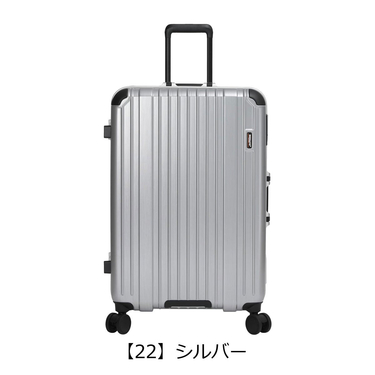 【22】シルバー