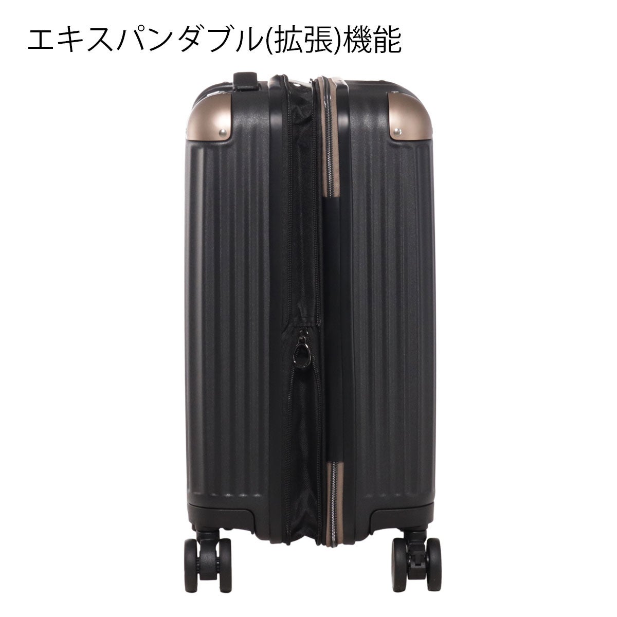 コールマン スーツケース S 38(46)L 2.9kg ALMITE II 当社限定 別注